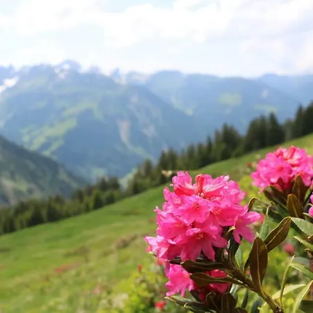 Apartman Bauernhof Farnach