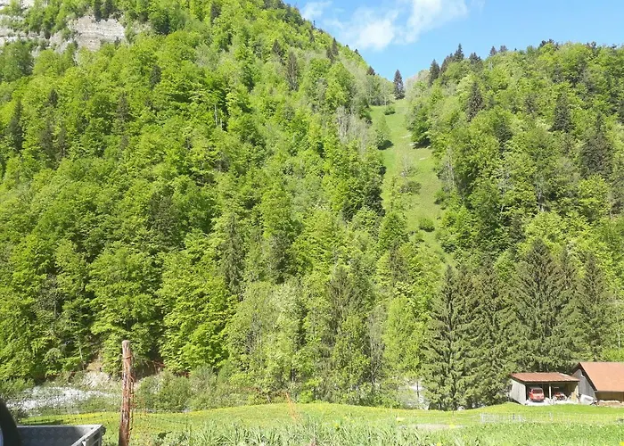 Bauernhof Farnach Andelsbuch