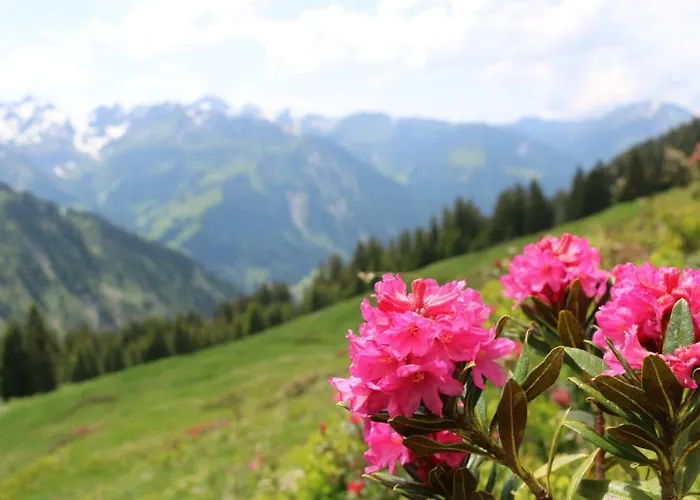 Apartment Bauernhof Farnach